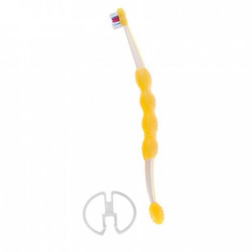 Escova Dental Training Brush 6  meses 8217 MAM