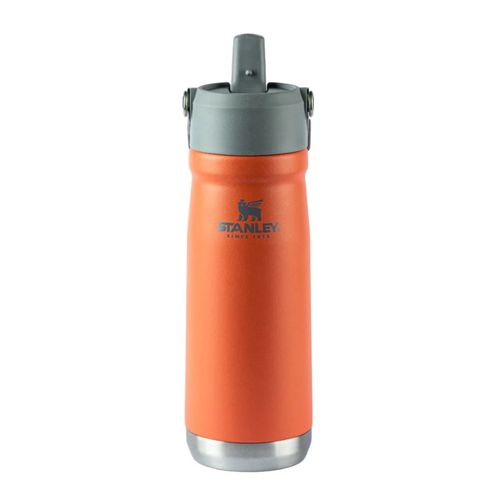 Garrafa Térmica 651ml Flip Straw Tumbler Guava Stanley