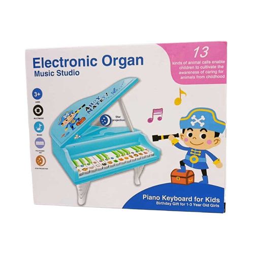 Brinquedo Piano De Corda Elétrico Sortido Domni